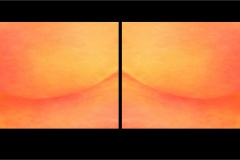 Diptychs