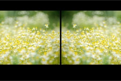 Dyptych-MIrror-07