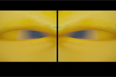 Dyptych-Mirror-012