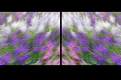 Dyptych-Mirror-013