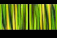 Dyptych-Mirror-014