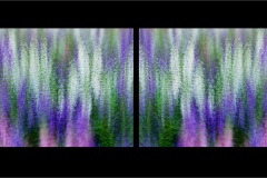Dyptych-Mirror-04