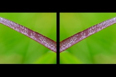 Dyptych-Mirror-06