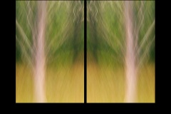 Dyptych-Mirror-08