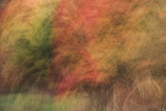 Abstract fall colors