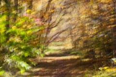 A hike in the fall