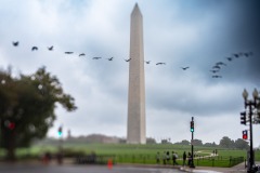 Lensbaby Edge 35