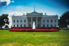 White-House_2695