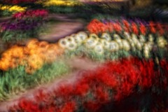 Lensbaby Original and 2.0