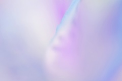 20110429_2965