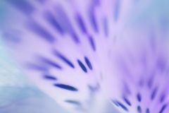 20110429_2995