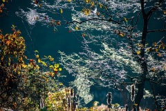 Webs-DSC_5671